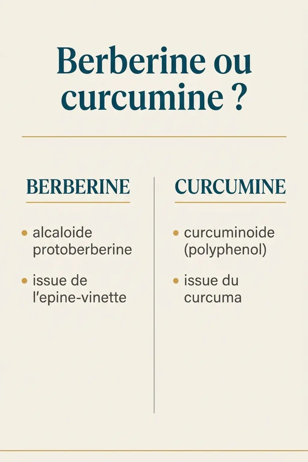 Infographie comparant la berbérine et la curcumine : famille chimique et plante d’origine de chaque substance